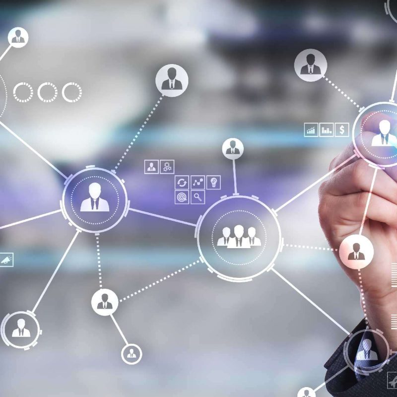 Capacity Building & Training