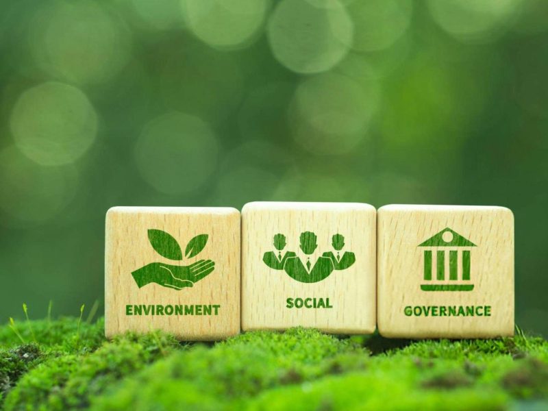 Enviro in Rwanda Environmental consultant helping a business with EIA and compliance in Rwanda